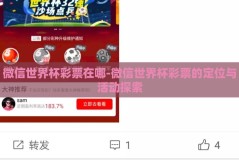 微信世界杯彩票在哪-微信世界杯彩票的定位与活动探索