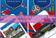 微信如何看世界杯直播-精准观赛，尽在其中——微信看世界杯直播全攻略