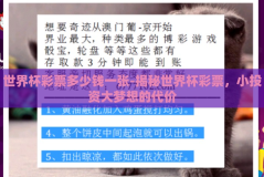 世界杯彩票多少钱一张-揭秘世界杯彩票，小投资大梦想的代价