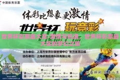 世界杯彩票最大奖-激情与机遇，世界杯彩票最大奖的梦幻之旅