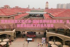 世界杯彩票大奖记录-探秘世界杯彩票大奖，全球足球狂欢下的非凡惊喜