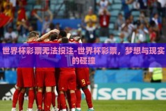 世界杯彩票无法投注-世界杯彩票，梦想与现实的碰撞