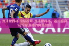 足球世界杯 滚球视频-足球世界杯，视觉盛宴与滚球直播的完美融合