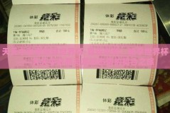 天天中彩票赢球世界杯-喜乐中奖，畅享世界杯——天天中彩票与足球热情的契合之旅
