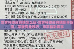 世界杯体彩竞猜怎么玩-世界杯体彩竞猜新手指南，掌握专业技巧，乐享精彩赛事