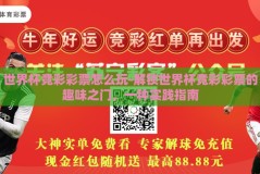 世界杯竞彩彩票怎么玩-解锁世界杯竞彩彩票的趣味之门，一种实践指南