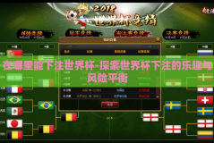 在哪里能下注世界杯-探索世界杯下注的乐趣与风险平衡