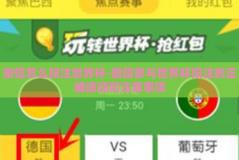 微信怎么投注世界杯-微信参与世界杯投注的正确途径和注意事项