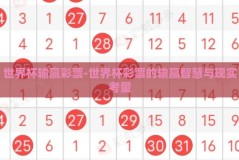 世界杯输赢彩票-世界杯彩票的输赢智慧与现实考量