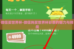 微信买世界杯-微信购买世界杯彩票的魅力与挑战
