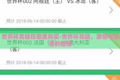 世界杯竞猜在哪里购买-世界杯竞猜，激情与智慧的碰撞