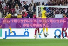2022卡塔尔世界杯彩票-2022卡塔尔世界杯，激情与幸运的交汇