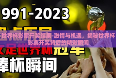 世界杯彩票开奖结果-激情与机遇，揭秘世界杯彩票开奖背后的精彩瞬间