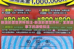 新浪彩票世界杯投注-新浪彩票世界杯，全球盛事下的激情投注