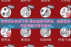 世界杯彩票多少钱-解锁激情与梦想，揭秘世界杯彩票的价格与魅力