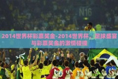 2014世界杯彩票奖金-2014世界杯，足球盛宴与彩票奖金的激情碰撞