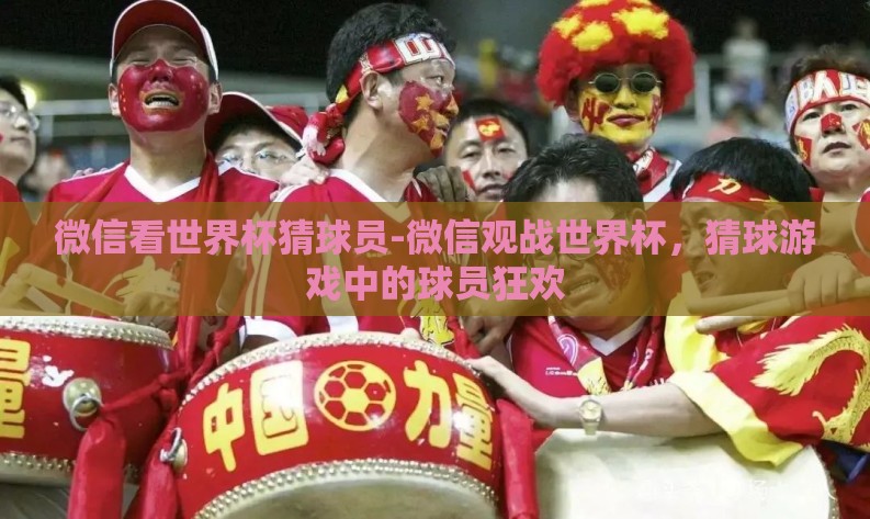 微信看世界杯猜球员-微信观战世界杯，猜球游戏中的球员狂欢