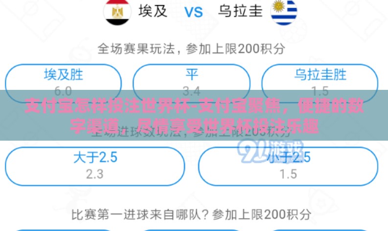 支付宝怎样投注世界杯-支付宝聚焦，便捷的数字渠道，尽情享受世界杯投注乐趣