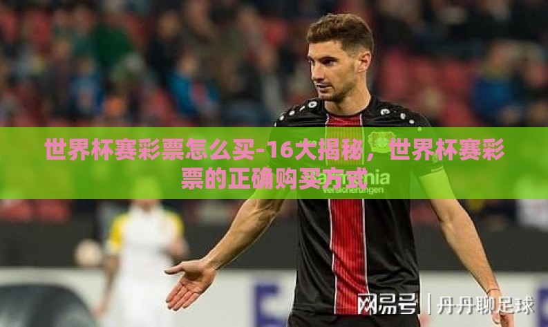 世界杯赛彩票怎么买-16大揭秘,世界杯赛彩票的正确购买方式 世界杯赛彩票怎么买-16大揭秘,世界杯赛彩票的正确购买方式