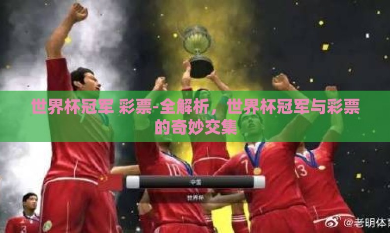 世界杯冠军 彩票-全解析，世界杯冠军与彩票的奇妙交集