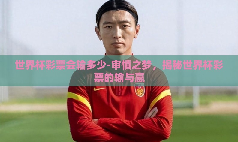 世界杯彩票会输多少-审慎之梦，揭秘世界杯彩票的输与赢