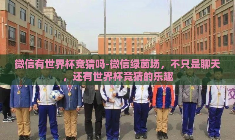 微信有世界杯竞猜吗-微信绿茵场，不只是聊天，还有世界杯竞猜的乐趣