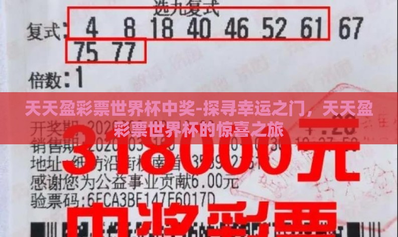 天天盈彩票世界杯中奖-探寻幸运之门,天天盈彩票世界杯的惊喜之旅 天天盈彩票世界杯中奖-探寻幸运之门,天天盈彩票世界杯的惊喜之旅