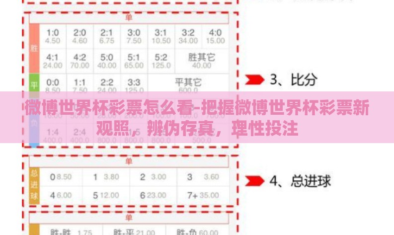 微博世界杯彩票怎么看-把握微博世界杯彩票新观照,辨伪存真,理性投注 微博世界杯彩票怎么看-把握微博世界杯彩票新观照,辨伪存真,理性投注
