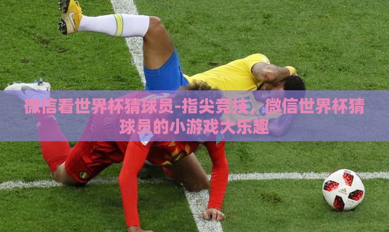 微信看世界杯猜球员-指尖竞技，微信世界杯猜球员的小游戏大乐趣