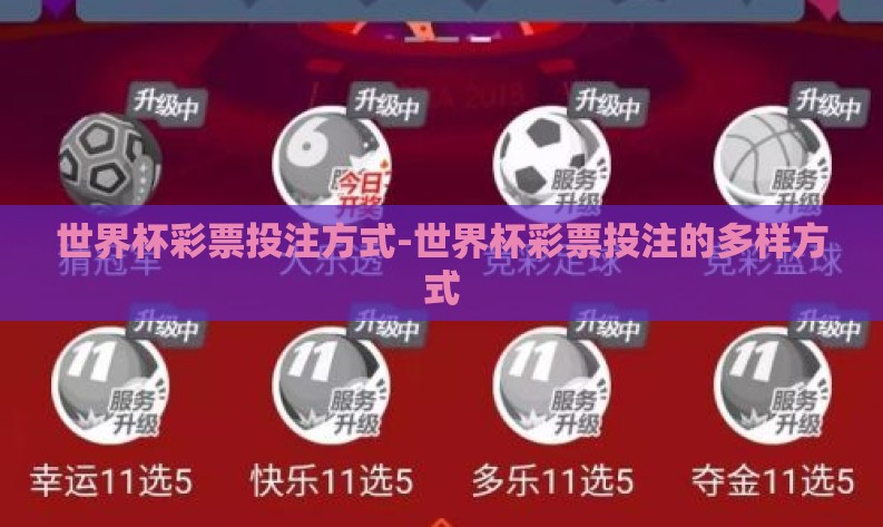 世界杯彩票投注方式-世界杯彩票投注的多样方式