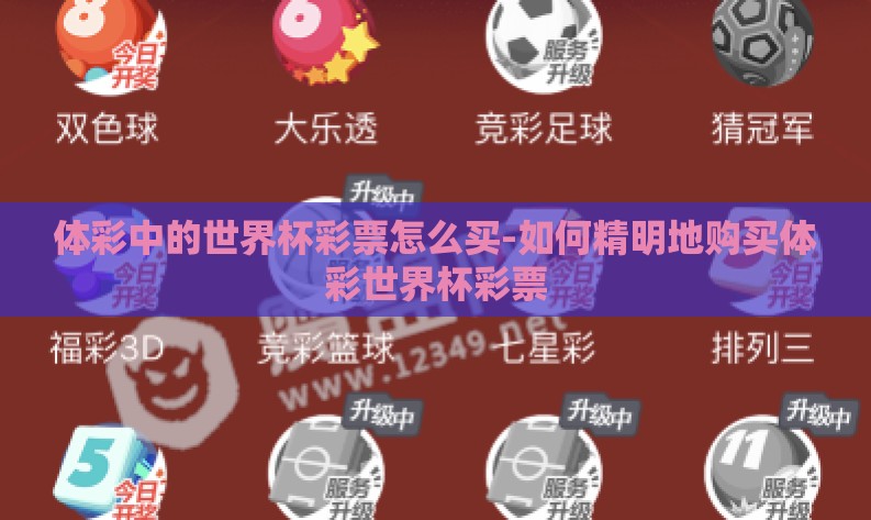 体彩中的世界杯彩票怎么买-如何精明地购买体彩世界杯彩票