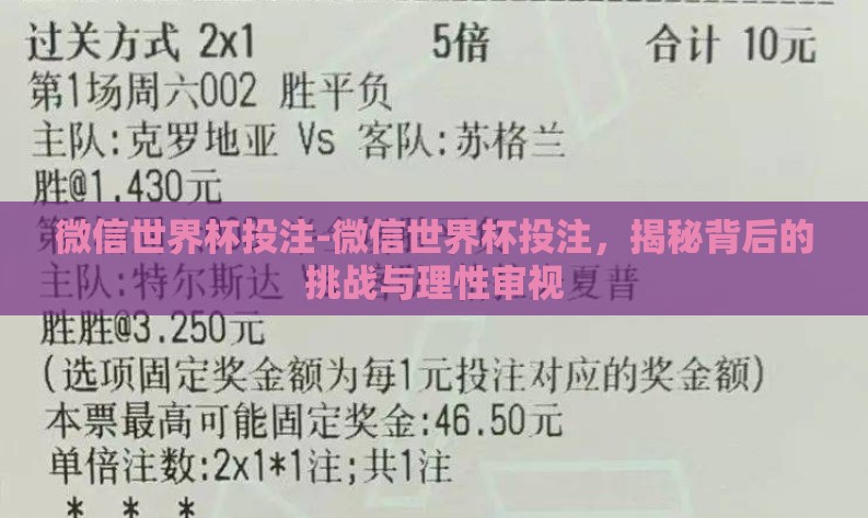 微信世界杯投注-微信世界杯投注,揭秘背后的挑战与理性审视 微信世界杯投注-微信世界杯投注,揭秘背后的挑战与理性审视