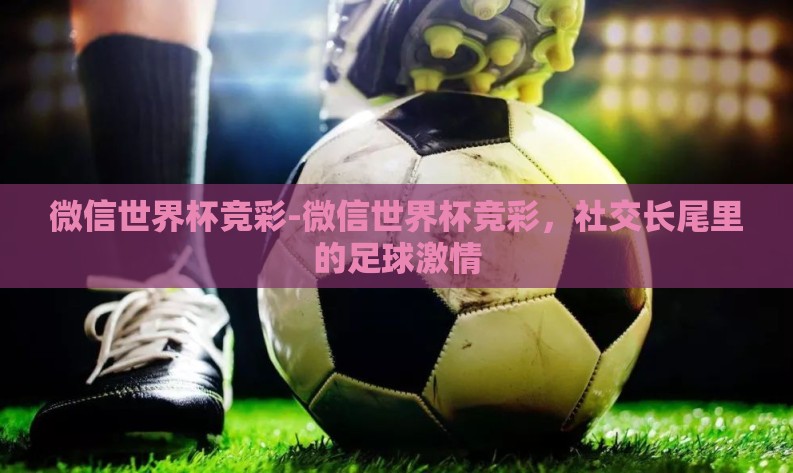 微信世界杯竞彩-微信世界杯竞彩，社交长尾里的足球激情
