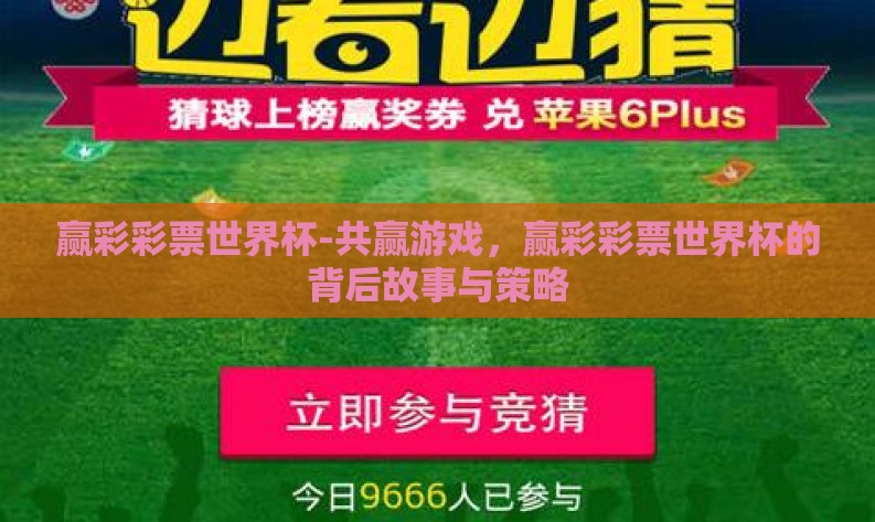 赢彩彩票世界杯-共赢游戏，赢彩彩票世界杯的背后故事与策略