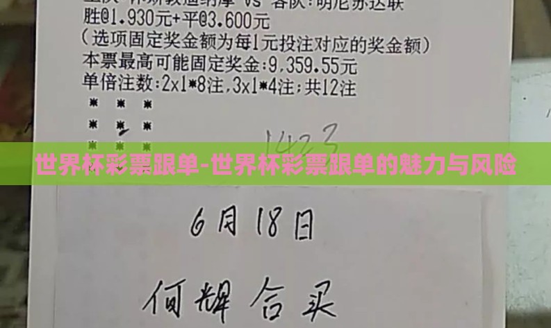 世界杯彩票跟单-世界杯彩票跟单的魅力与风险