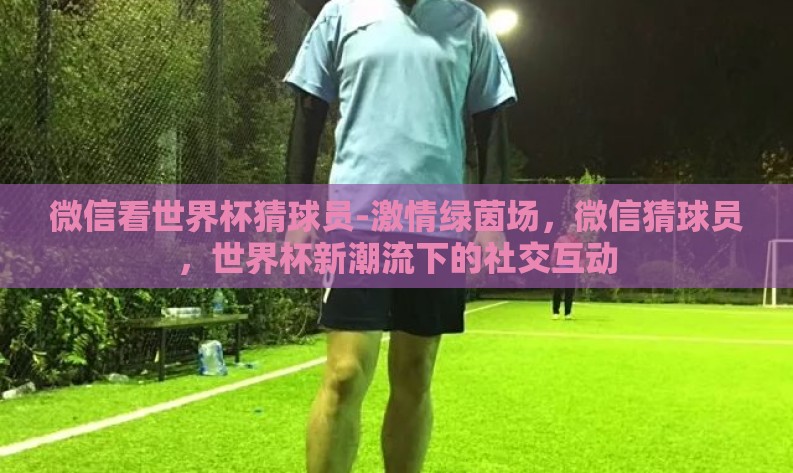 微信看世界杯猜球员-激情绿茵场,微信猜球员,世界杯新潮流下的社交互动 微信看世界杯猜球员-激情绿茵场,微信猜球员,世界杯新潮流下的社交互动
