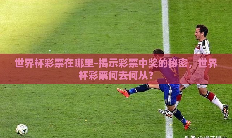 世界杯彩票在哪里-揭示彩票中奖的秘密,世界杯彩票何去何从? 世界杯彩票在哪里-揭示彩票中奖的秘密,世界杯彩票何去何从?