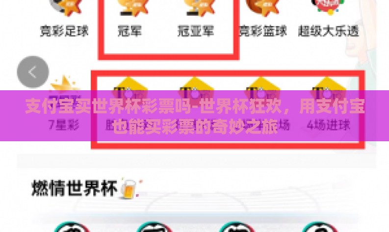支付宝买世界杯彩票吗-世界杯狂欢，用支付宝也能买彩票的奇妙之旅
