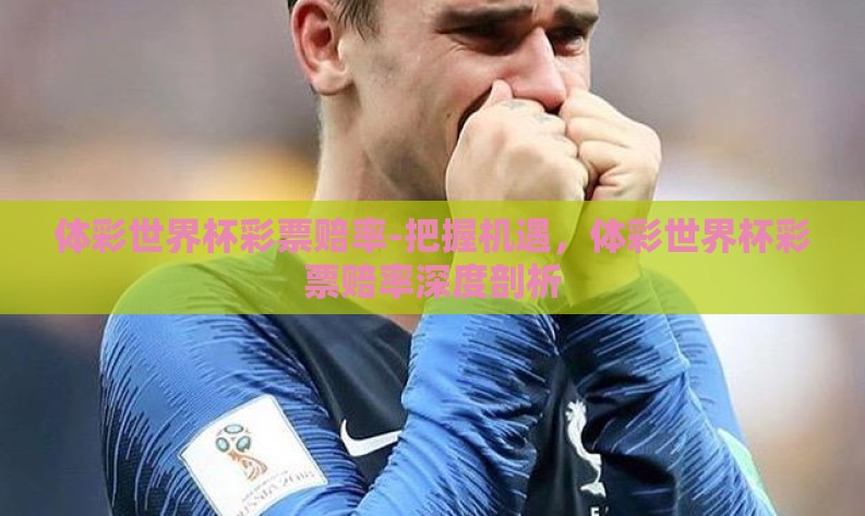 体彩世界杯彩票赔率-把握机遇，体彩世界杯彩票赔率深度剖析
