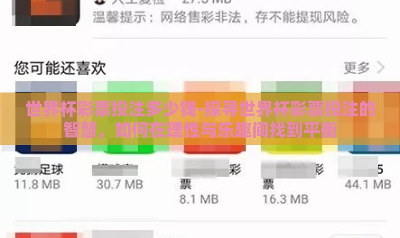 世界杯彩票投注多少钱-探寻世界杯彩票投注的智慧，如何在理性与乐趣间找到平衡