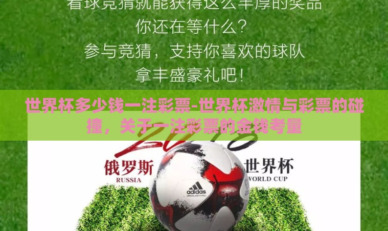 世界杯多少钱一注彩票-世界杯激情与彩票的碰撞，关于一注彩票的金钱考量