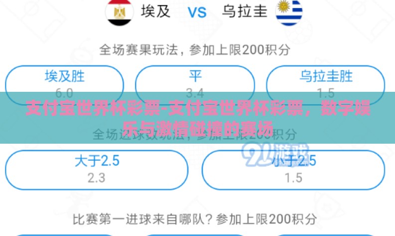 支付宝世界杯彩票-支付宝世界杯彩票，数字娱乐与激情碰撞的赛场