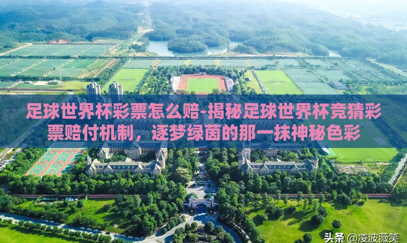 足球世界杯彩票怎么赔-揭秘足球世界杯竞猜彩票赔付机制，逐梦绿茵的那一抹神秘色彩