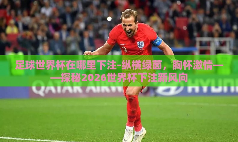足球世界杯在哪里下注-纵横绿茵,胸怀激情——探秘2026世界杯下注新风向 足球世界杯在哪里下注-纵横绿茵,胸怀激情——探秘2026世界杯下注新风向