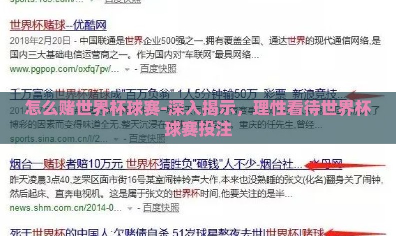怎么赌世界杯球赛-深入揭示，理性看待世界杯球赛投注