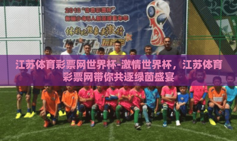 江苏体育彩票网世界杯-激情世界杯，江苏体育彩票网带你共逐绿茵盛宴