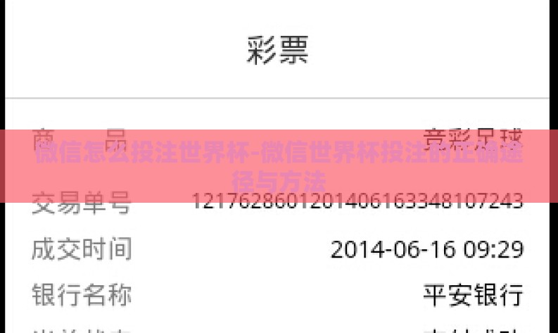 微信怎么投注世界杯-微信世界杯投注的正确途径与方法