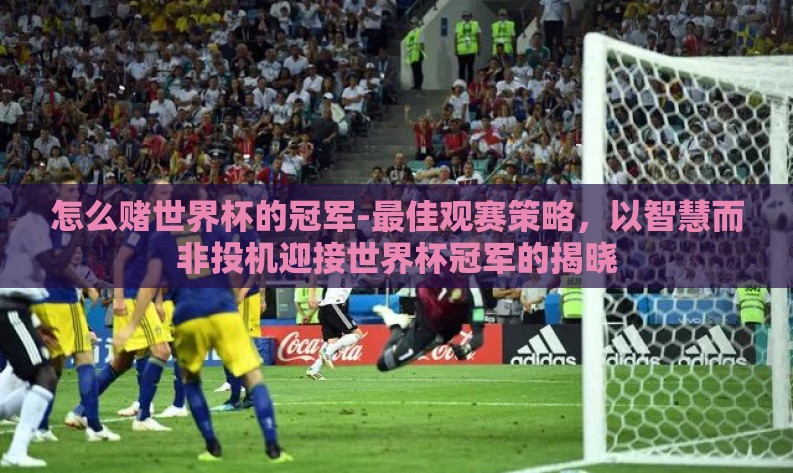 怎么赌世界杯的冠军-最佳观赛策略,以智慧而非投机迎接世界杯冠军的揭晓 怎么赌世界杯的冠军-最佳观赛策略,以智慧而非投机迎接世界杯冠军的揭晓