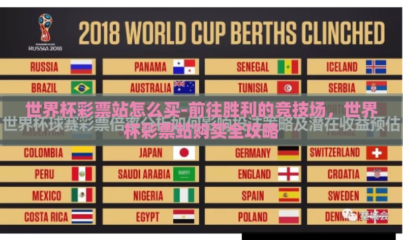 世界杯彩票站怎么买-前往胜利的竞技场，世界杯彩票站购买全攻略