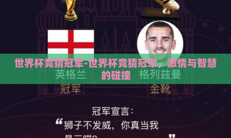 世界杯竞猜冠军-世界杯竞猜冠军，激情与智慧的碰撞